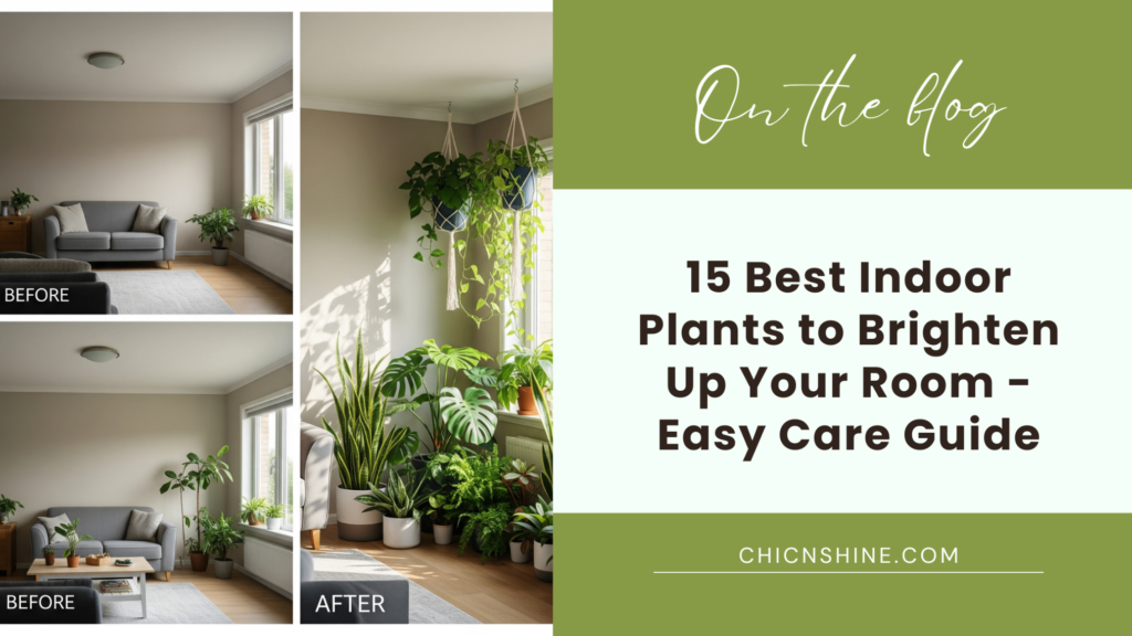 15 Best Indoor Plants to Brighten Up Your Room - Easy Care Guide