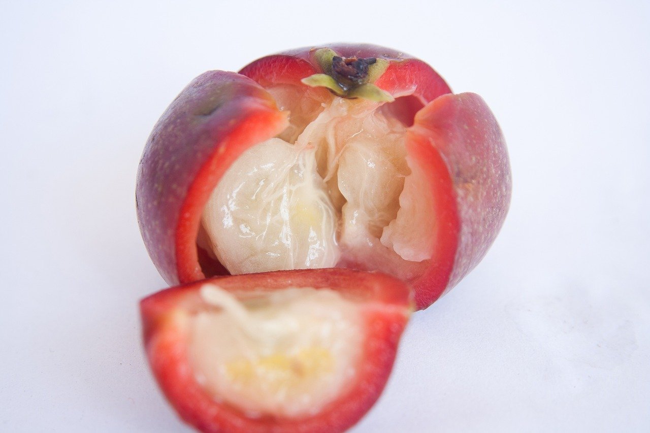 kokum, fruits, india, food, fresh, sliced, open, indian, kokum, kokum, kokum, kokum, kokum